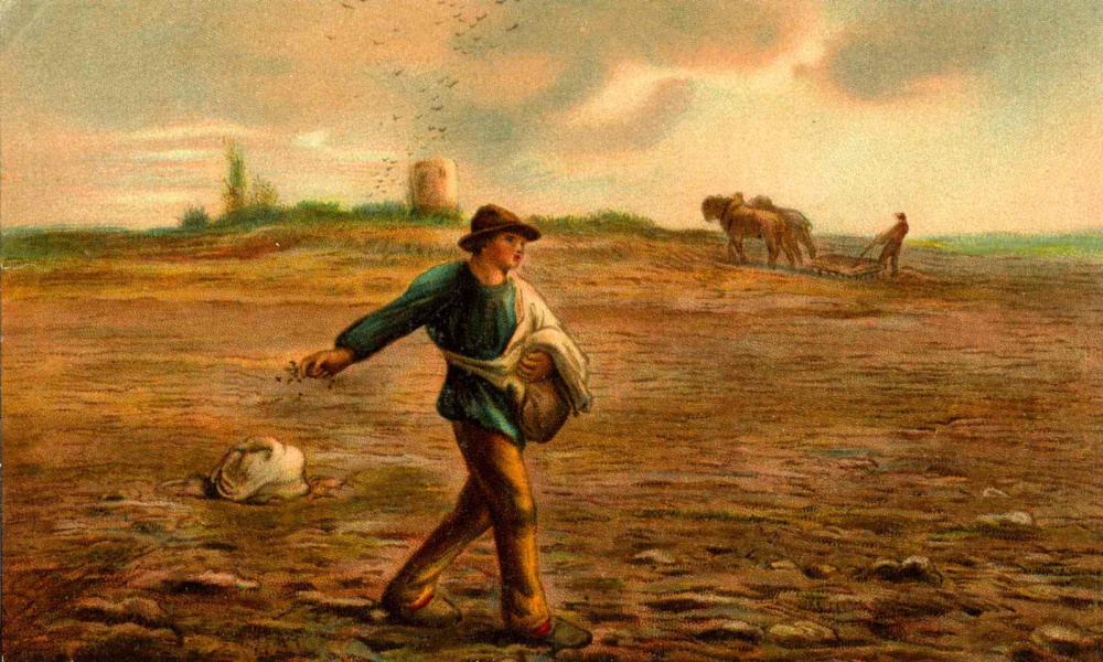Évangile de Marc (3) : La parabole du semeur : prenez garde à la manière dont vous écoutez! Image